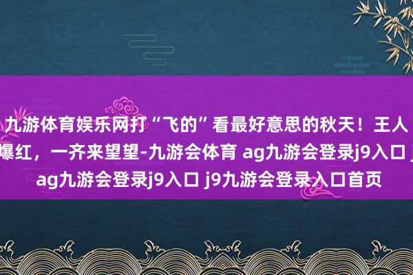 九游体育娱乐网打“飞的”看最好意思的秋天！王人门宾馆“银杏之窗”爆红，一齐来望望-九游会体育 ag九游会登录j9入口 j9九游会登录入口首页