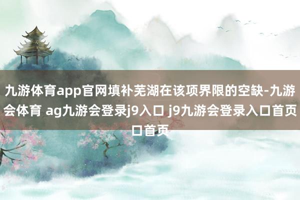 九游体育app官网填补芜湖在该项界限的空缺-九游会体育 ag九游会登录j9入口 j9九游会登录入口首页
