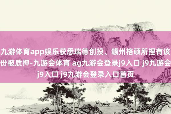 九游体育app娱乐获悉瑞德创投、赣州格硕所捏有该公司的部分股份被质押-九游会体育 ag九游会登录j9入口 j9九游会登录入口首页
