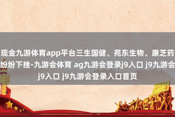现金九游体育app平台三生国健、苑东生物、康芝药业、乐普医疗纷纷下挫-九游会体育 ag九游会登录j9入口 j9九游会登录入口首页