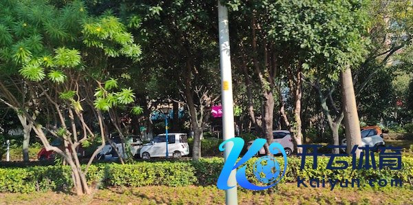 停放在东说念主行说念“小格子”的微型电动车 照相：肖理想