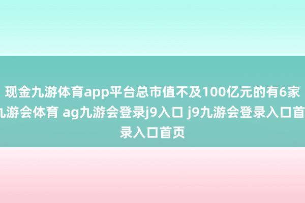 现金九游体育app平台总市值不及100亿元的有6家-九游会体育 ag九游会登录j9入口 j9九游会登录入口首页
