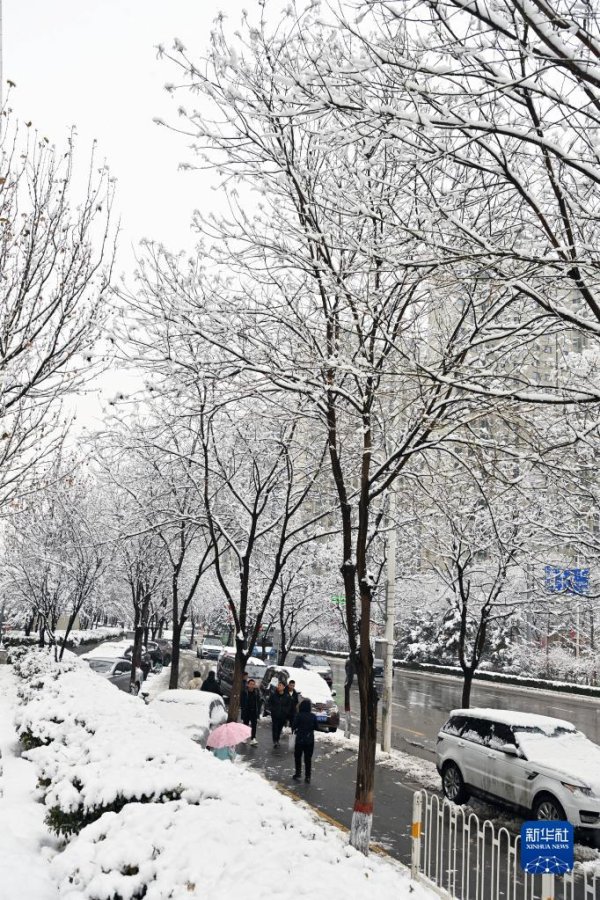 九游体育app(中国)官方网站山西省太原市迎来降雪天气-九游会体育 ag九游会登录j9入口 j9九游会登录入口首页