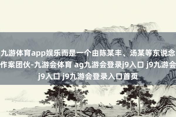 九游体育app娱乐而是一个由陈某丰、汤某等东说念主组织的专科作案团伙-九游会体育 ag九游会登录j9入口 j9九游会登录入口首页